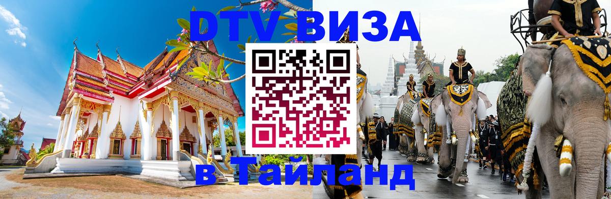 Оформление DTV визы под ключ: стоимость и тарифы, только загранпаспорт - Казань 